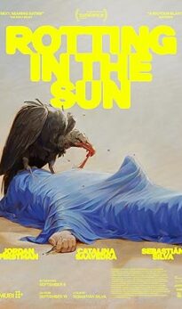 Rotting in the Sun